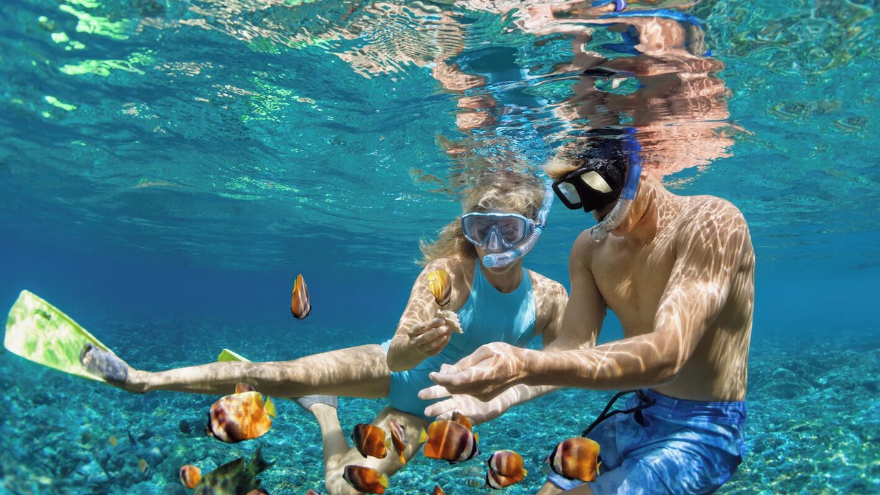 Photo of Others in Oyster Pond