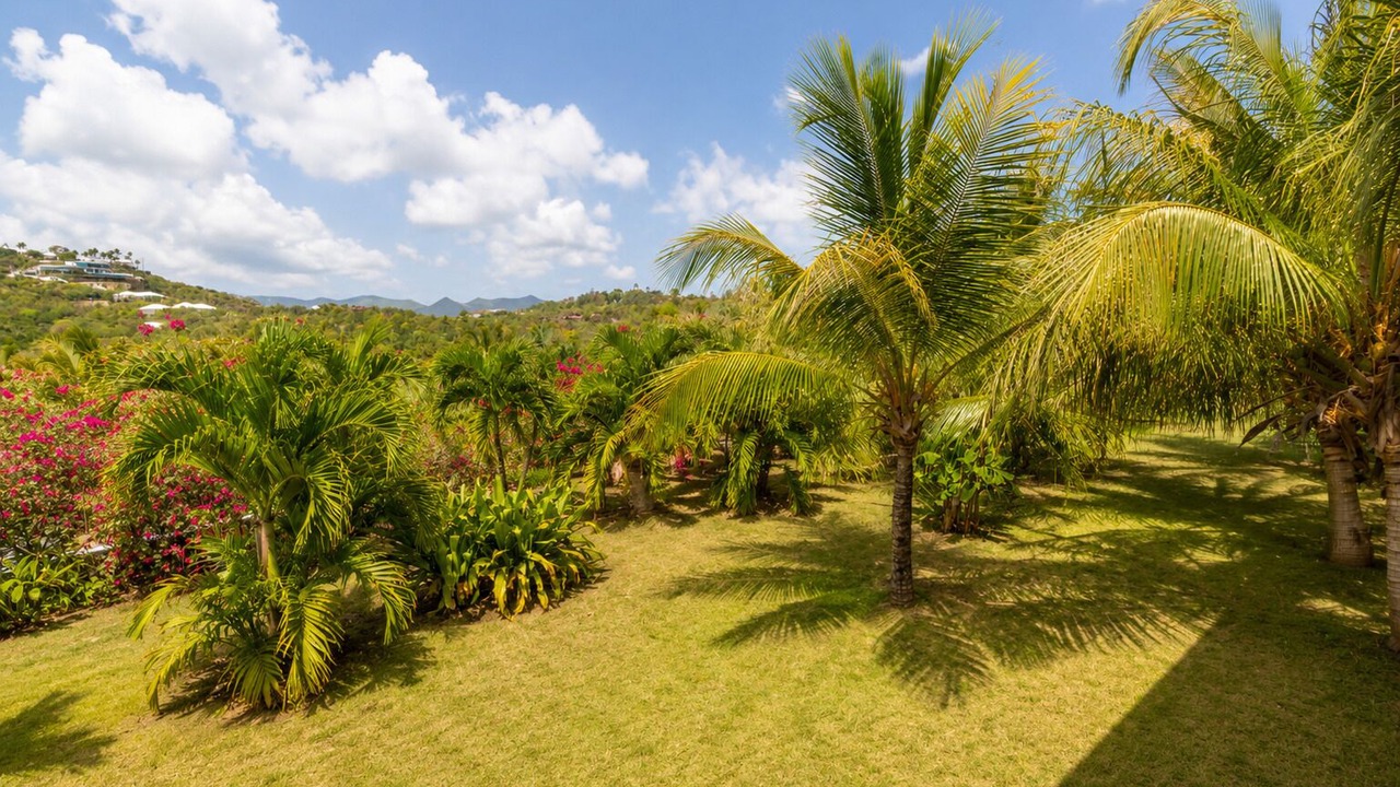 Photo of Outdoor in Les Terres Basses