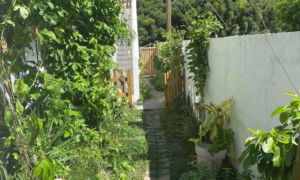 Photo of Outdoor in Grand Case