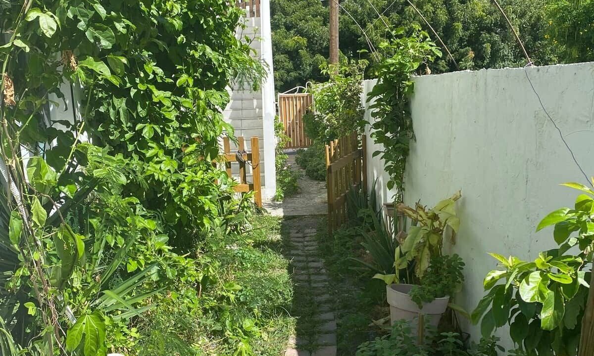 Photo of Outdoor in Grand Case