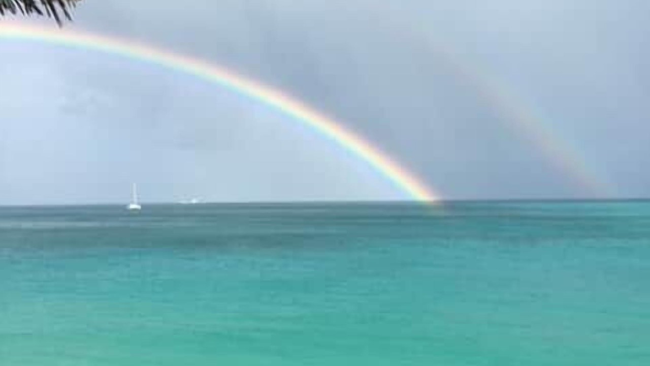 Photo of Others in Grand Case