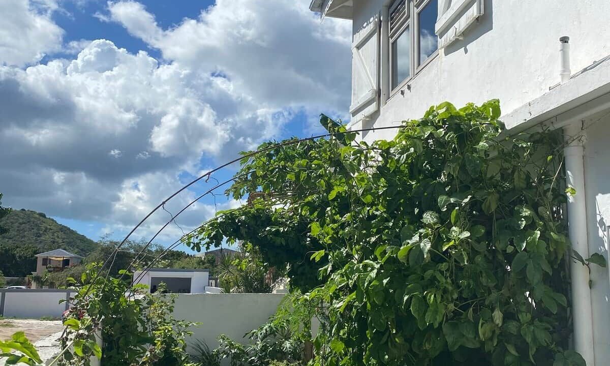 Photo of Others in Grand Case