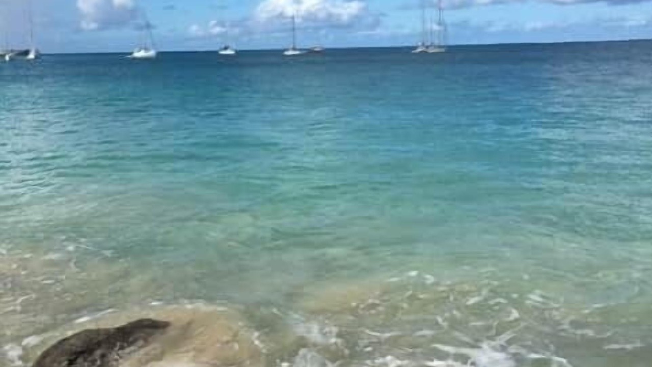 Photo of Others in Grand Case
