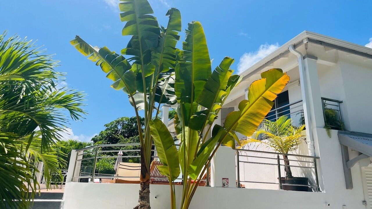 Photo of Outdoor in Orient Bay