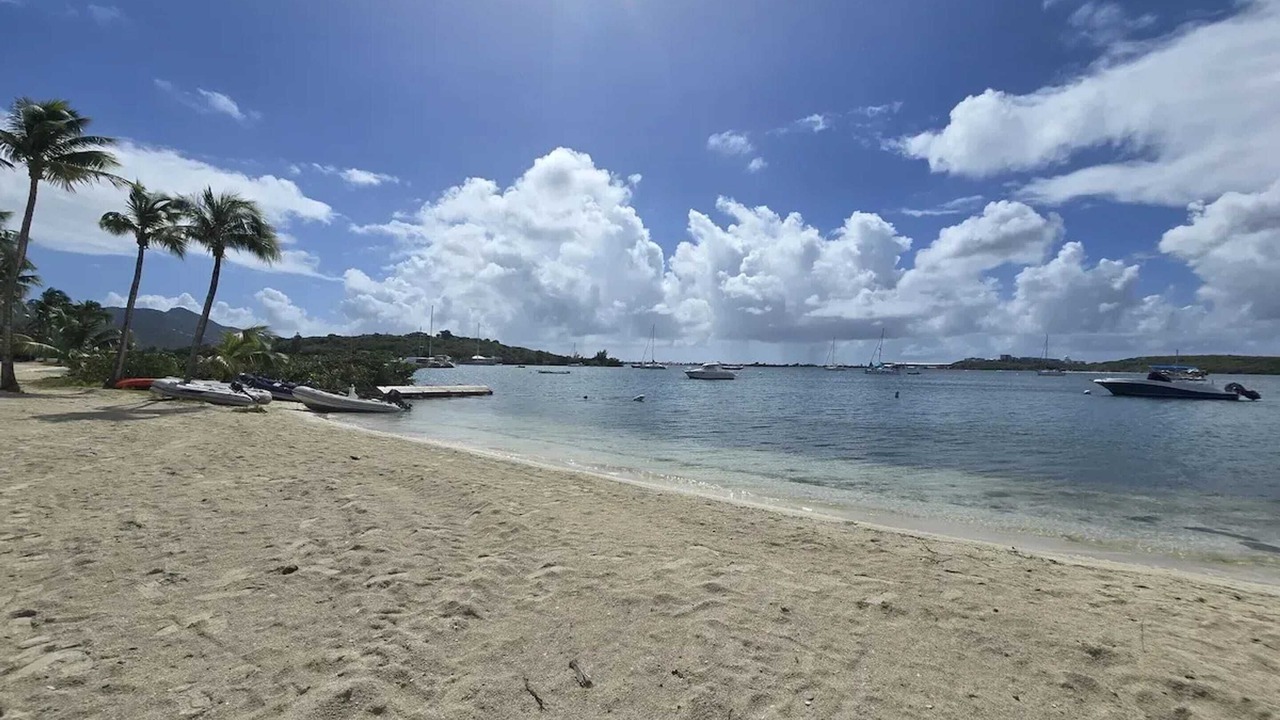 Photo of Others in Nettle Bay