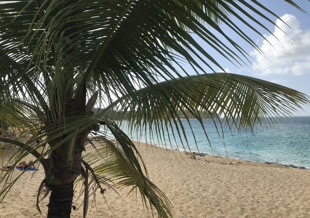 Photo of Others in Grand Case