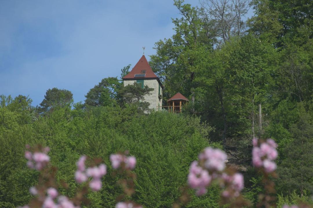 Photo of Others in Frankenroda