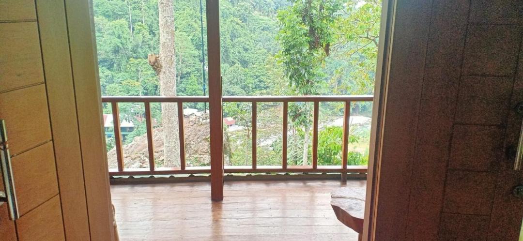 Photo of Others in Bukit Lawang
