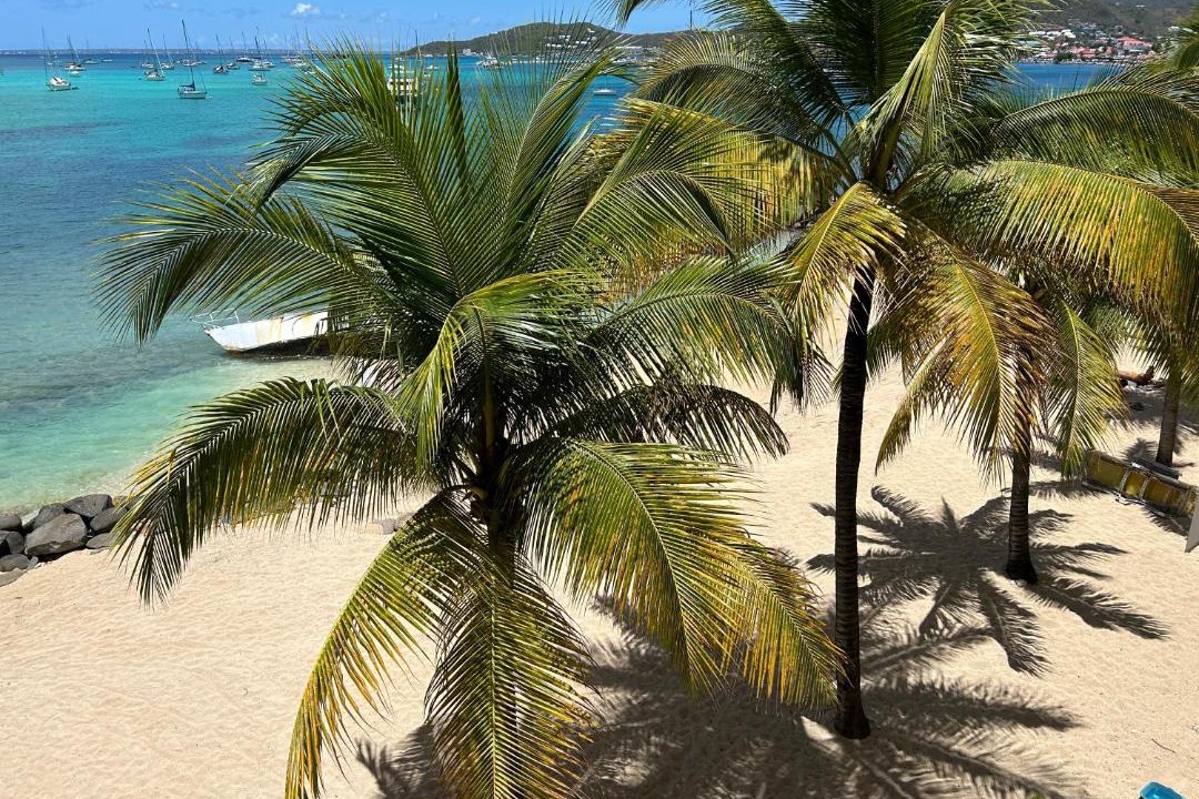 Photo of Others in Marigot