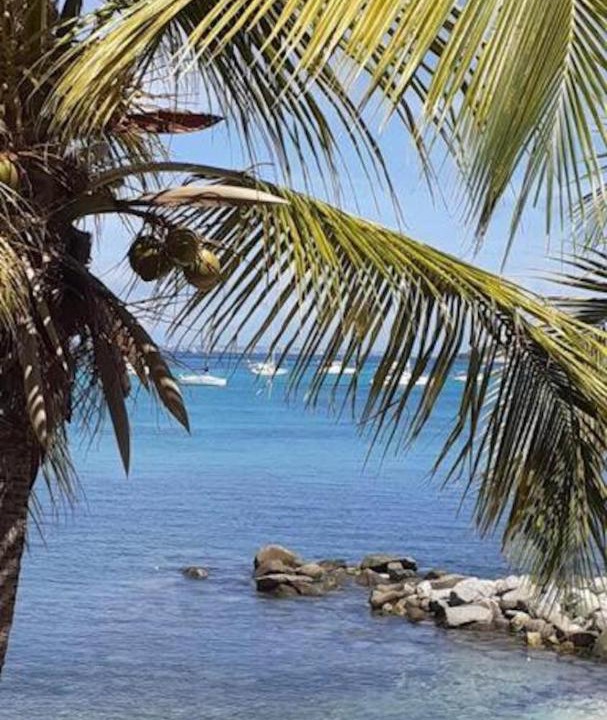 Photo of Others in Marigot