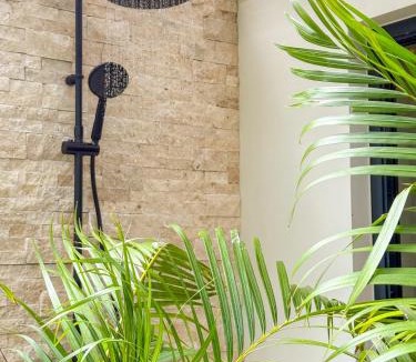 La Savane Apartment | SEA NOVA Friar's Bay Beachfront Properties